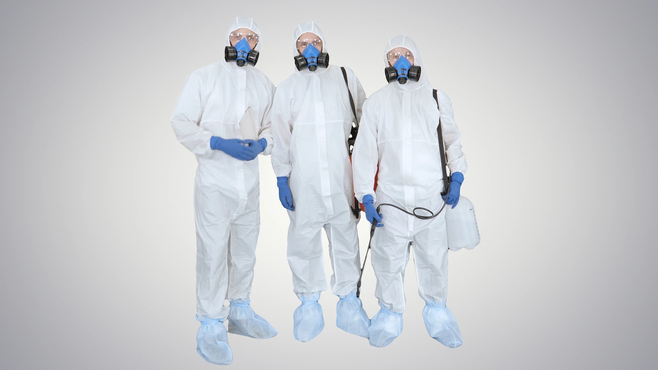 Cleaning professionals ready for service
